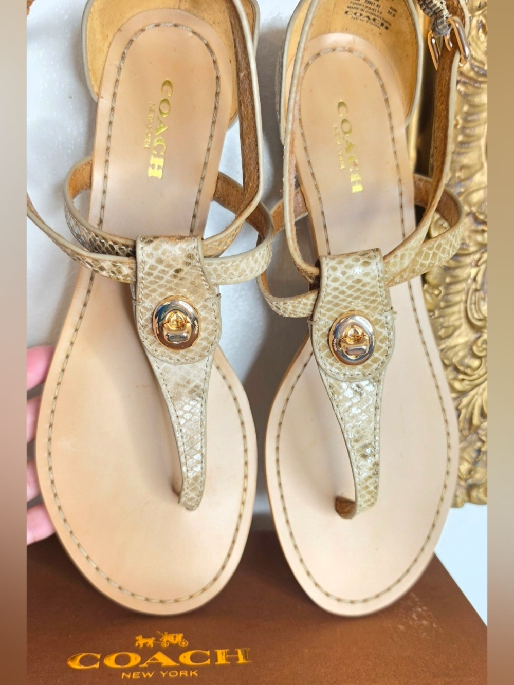 Coach Ingrid Nat Print Snake Wedge Sandal Beige & Gold US 7.5 M